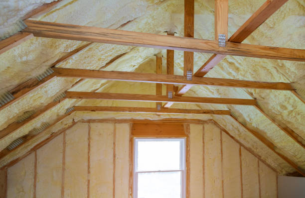 Best Insulation for Specific Applications in View Park Windsor Hills, CA